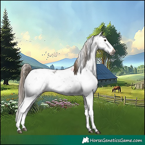 Horse Color:Liver Chestnut Sabino Splash Appaloosa 