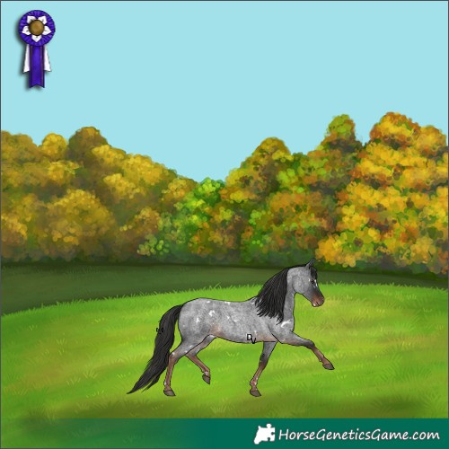 Horse Color:White Spotted Liver Red Roan 