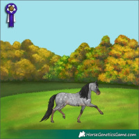 Horse Color:White Spotted Liver Red Roan 
