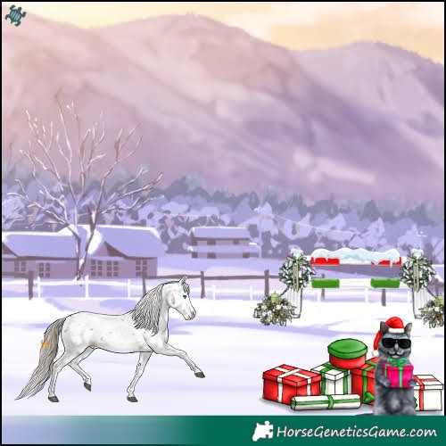 Horse Color:Liver Chestnut Sabino Splash Appaloosa 