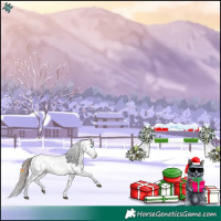 Horse Color:Liver Chestnut Sabino Splash Appaloosa 