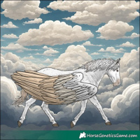Horse Color:Liver Chestnut Sabino Splash Appaloosa 