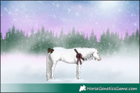 Horse Color:Cremello Sabino Splash Frame Appaloosa 