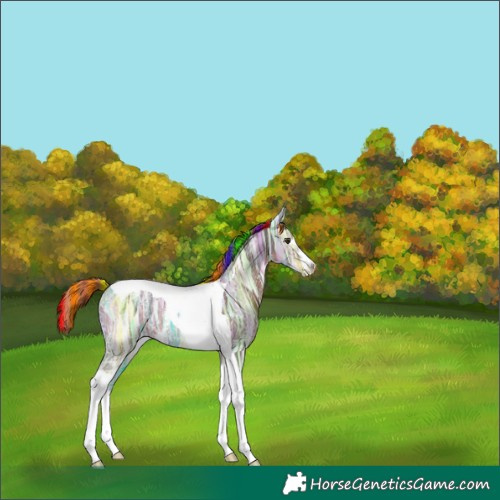 Horse Color:Painted White Spotted Liver Chestnut Ice Tobiano 