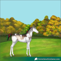 Horse Color:Painted Brown Onyx Splash Tobiano