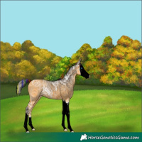 Horse Color:ERROR: UNKNOWN ANOMALY