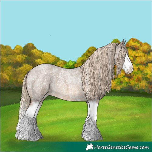 Horse Color:Chocolate Palomino Roan Sabino Splash Appaloosa 