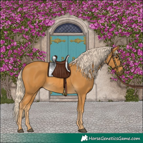 Horse Color:Palomino 