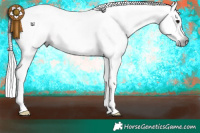 Horse Color:Gray White Spotted Brown Appaloosa 