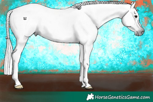 Horse Color:Gray Black 
