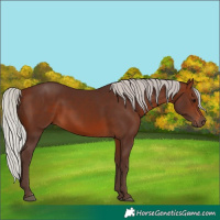Horse Color:Silver Brown