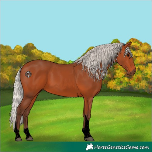 Horse Color:Void Silver Bay Tobiano 