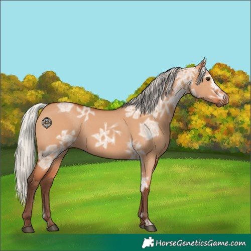 Horse Color:Void Silver Bay Ice Dun 