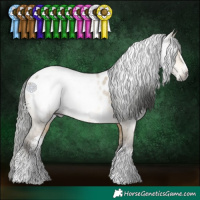 Horse Color:Gray Buckskin Dun Sabino Near Leopard 