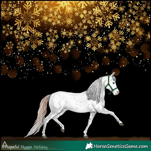 Horse Color:Liver Chestnut Sabino Splash Snowflake Varnish