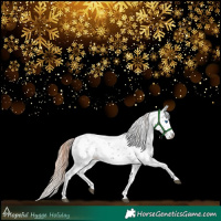 Horse Color:Liver Chestnut Sabino Splash Snowflake Varnish
