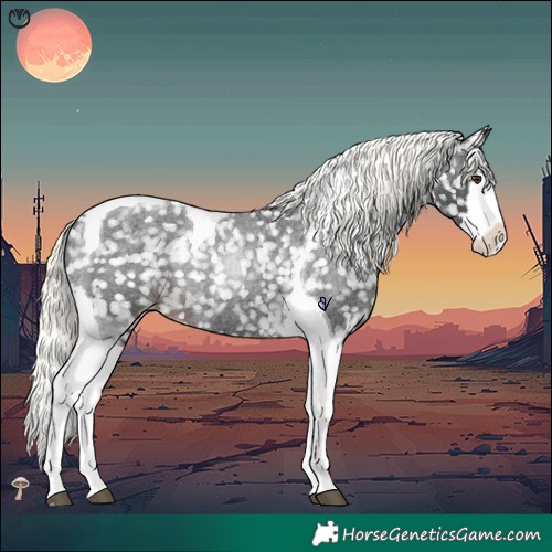 Horse Color:Liver Red Roan Mushroom Splash Tobiano Appaloosa 