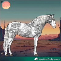 Horse Color:Liver Red Roan Mushroom Splash Tobiano Appaloosa 