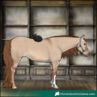 Horse Color:Red Dun 