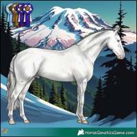Horse Color:Cremello Dun  and Liver Chestnut Sabino Splash Appaloosa 