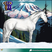 Horse Color:Cremello Dun  and Liver Chestnut Sabino Splash Appaloosa 