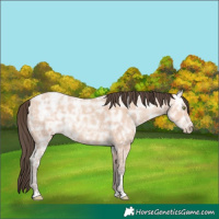 Horse Color:Amber Champagne Ice 