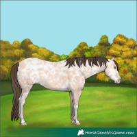 Horse Color:Amber Champagne Ice 