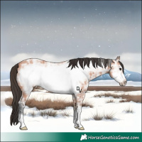 Horse Color:Bay Ice Frame 