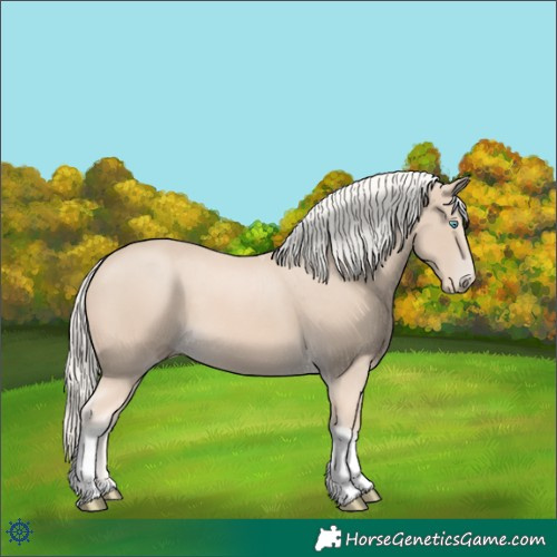 Horse Color:Cremello Tobiano 