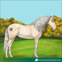 Horse Color:Palomino Pearl