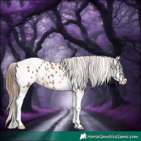 Horse Color:Chestnut Sabino Splash Tobiano Appaloosa 