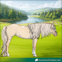 Horse Color:Gold Cream Champagne Dun Tobiano 