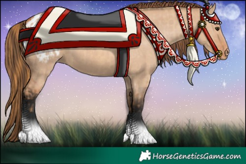 Horse Color:Red Dun Blanket  and Bay Dun Blanket 