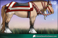 Horse Color:Red Dun Blanket  and Bay Dun Blanket 