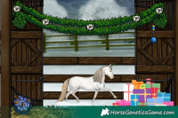 Horse Color:Smoky Grullo Roan Pearl 