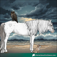Horse Color:Liver Chestnut Sabino Splash Appaloosa 