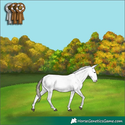 Horse Color:Liver Chestnut Sabino Splash Snowflake Varnish