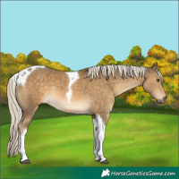 Horse Color:Chocolate Palomino Mushroom Tobiano 