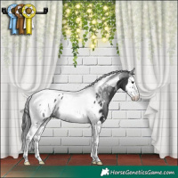 Horse Color:White Spotted Black Splash Tobiano Appaloosa 