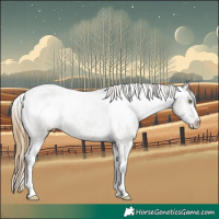 Horse Color:Smoky Grullo Varnish 