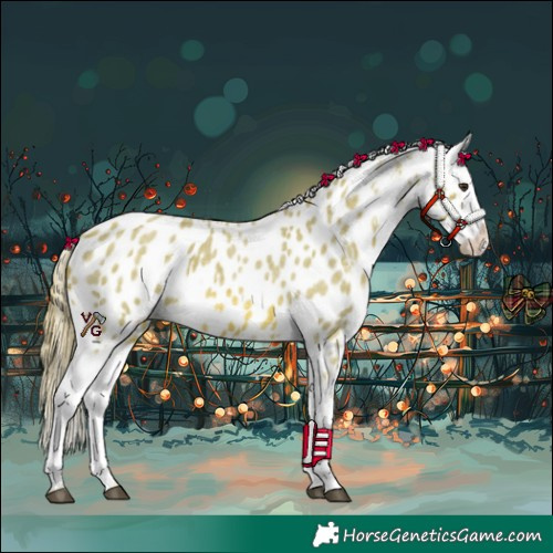 Horse Color:Watercolor Red Roan Appaloosa 