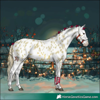 Horse Color:Watercolor Red Roan Appaloosa