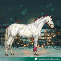 Horse Color:Watercolor Red Roan Appaloosa