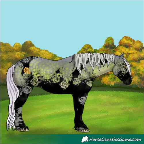 Horse Color:Void Watercolor White Spotted Chocolate Silver Brown Tobiano 