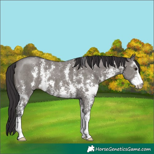 Horse Color:Smoky Grullo Sabino 