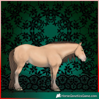 Horse Color:Amber Champagne