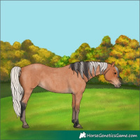 Horse Color:Bay Roan  and Silver Bay Roan 