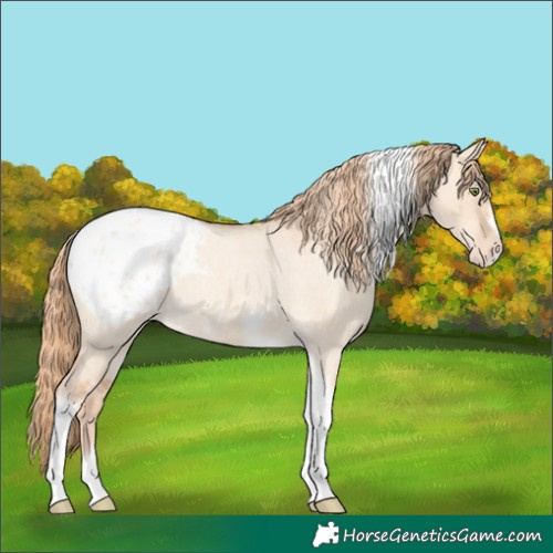 Horse Color:Gold Champagne Roan Dun Splash Tobiano Frame Blanket Rabicano 