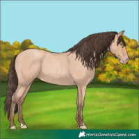 Horse Color:Amber Champagne Roan 