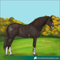 Horse Color:Liver Chestnut  and Liver Chestnut 
